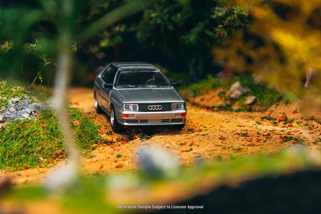 Audi Quattro Silver